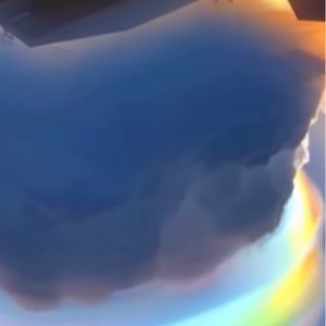 Meet your Posher, Jocelyn